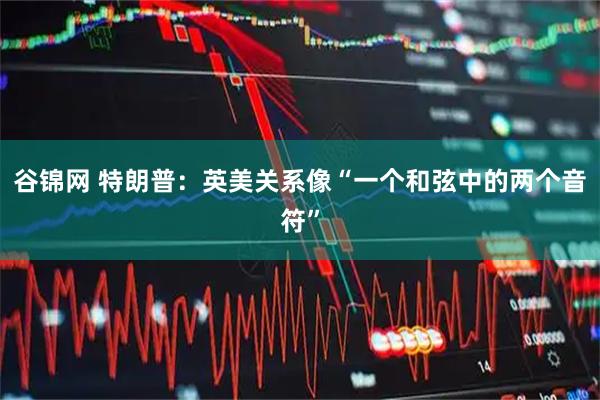 谷锦网 特朗普：英美关系像“一个和弦中的两个音符”