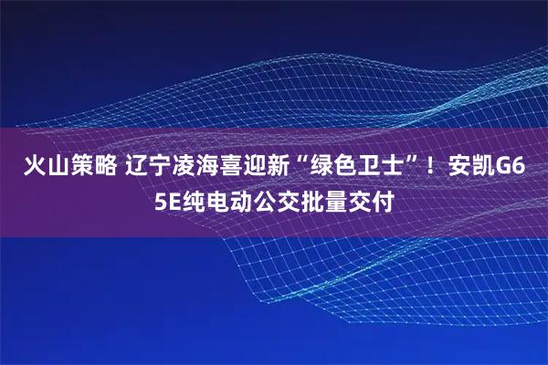 火山策略 辽宁凌海喜迎新“绿色卫士”！安凯G65E纯电动公交批量交付
