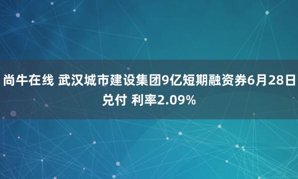 尚牛在线 武汉城市建设集团9亿短期融资券6月28日兑付 利率2.09%