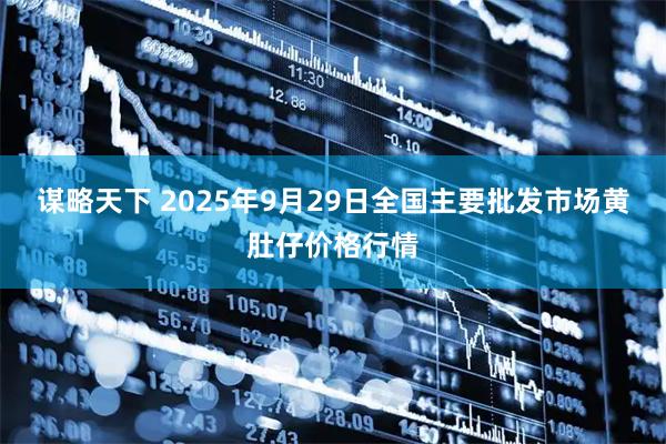 谋略天下 2025年9月29日全国主要批发市场黄肚仔价格行情