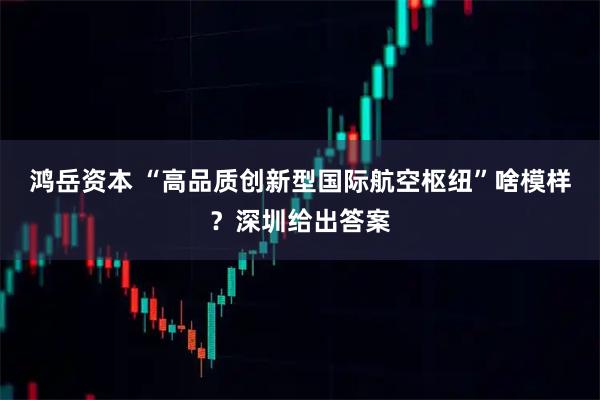 鸿岳资本 “高品质创新型国际航空枢纽”啥模样？深圳给出答案