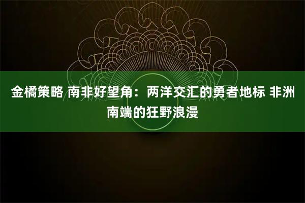 金橘策略 南非好望角：两洋交汇的勇者地标 非洲南端的狂野浪漫