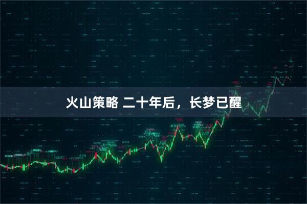 火山策略 二十年后，长梦已醒