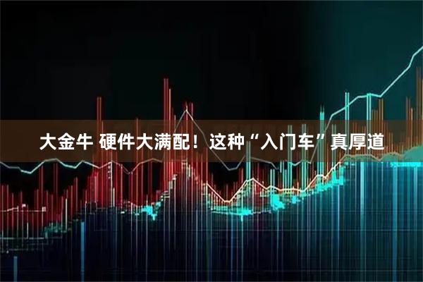 大金牛 硬件大满配！这种“入门车”真厚道