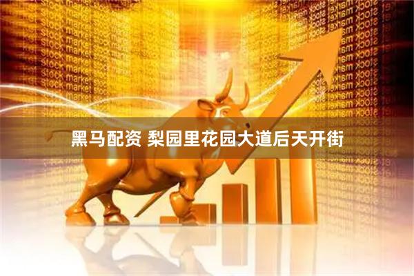 黑马配资 梨园里花园大道后天开街